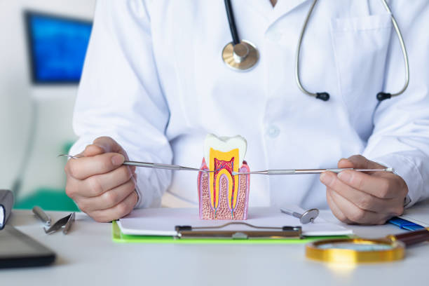 Best Emergency Wisdom Teeth Removal in Spencer, OK